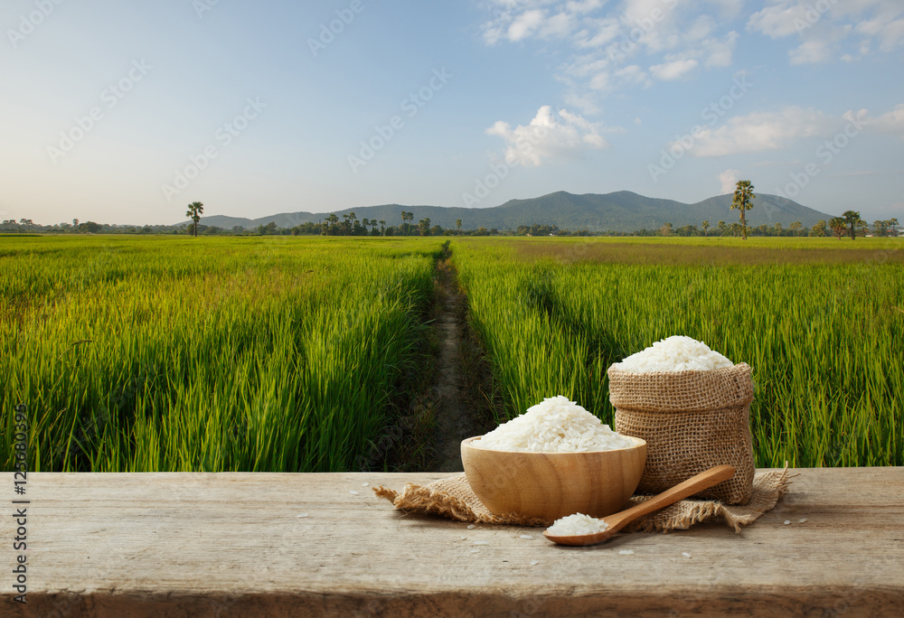 亚洲白米饭或未煮熟的白米饭，后面是稻田