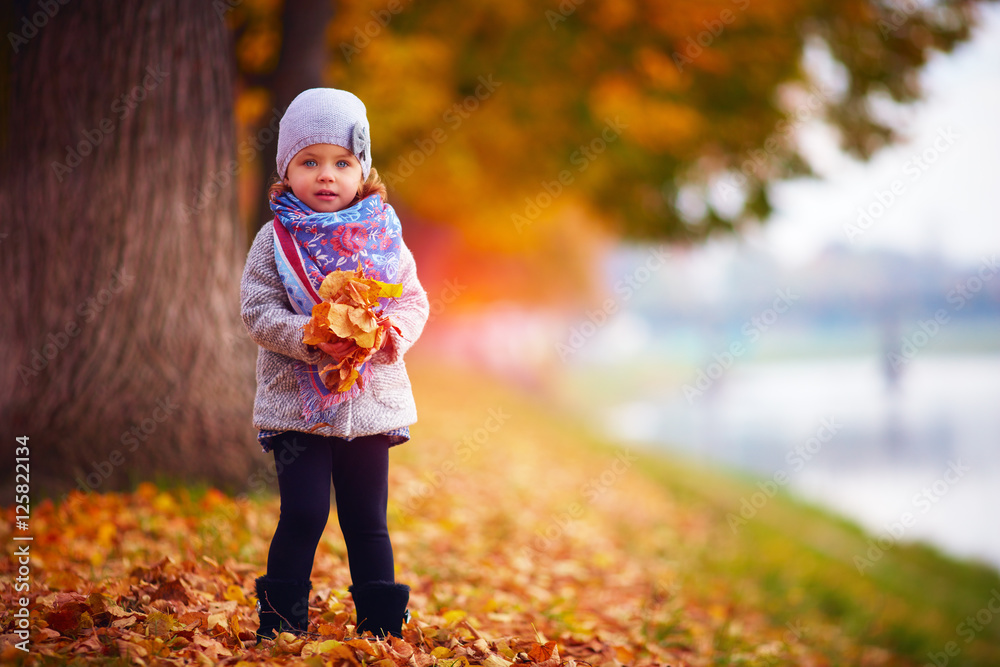秋天公园里可爱的小女孩