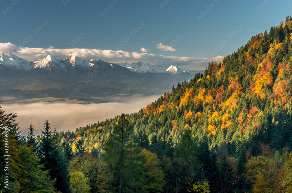 美丽的秋季全景，从色彩鲜艳的秋季皮涅尼山脉到白雪皑皑的波兰塔特拉山脉