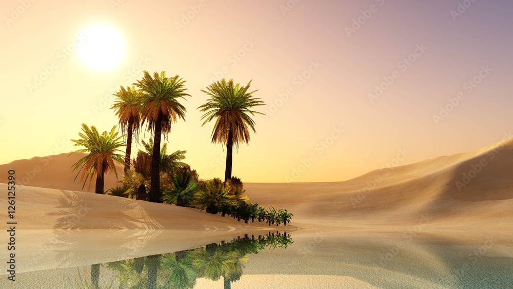 沙漠中的绿洲。棕榈树和湖泊。