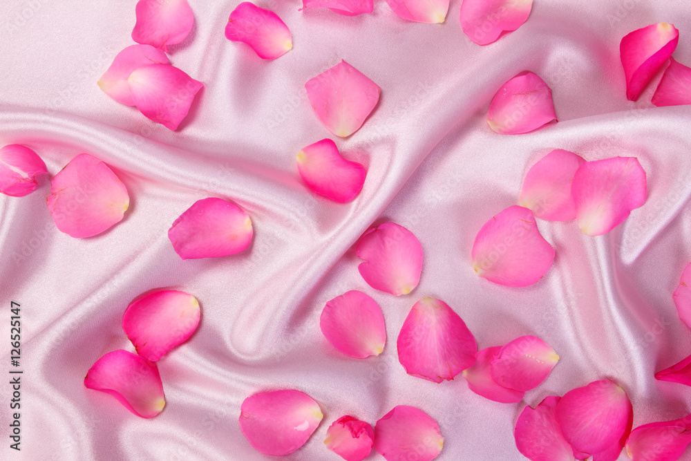 甜美的粉红色玫瑰花瓣，柔软的粉红色丝绸面料，浪漫