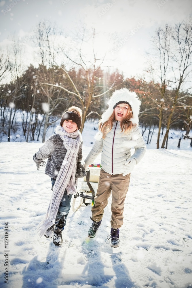 兄弟姐妹在雪地上玩雪橇的合成图像