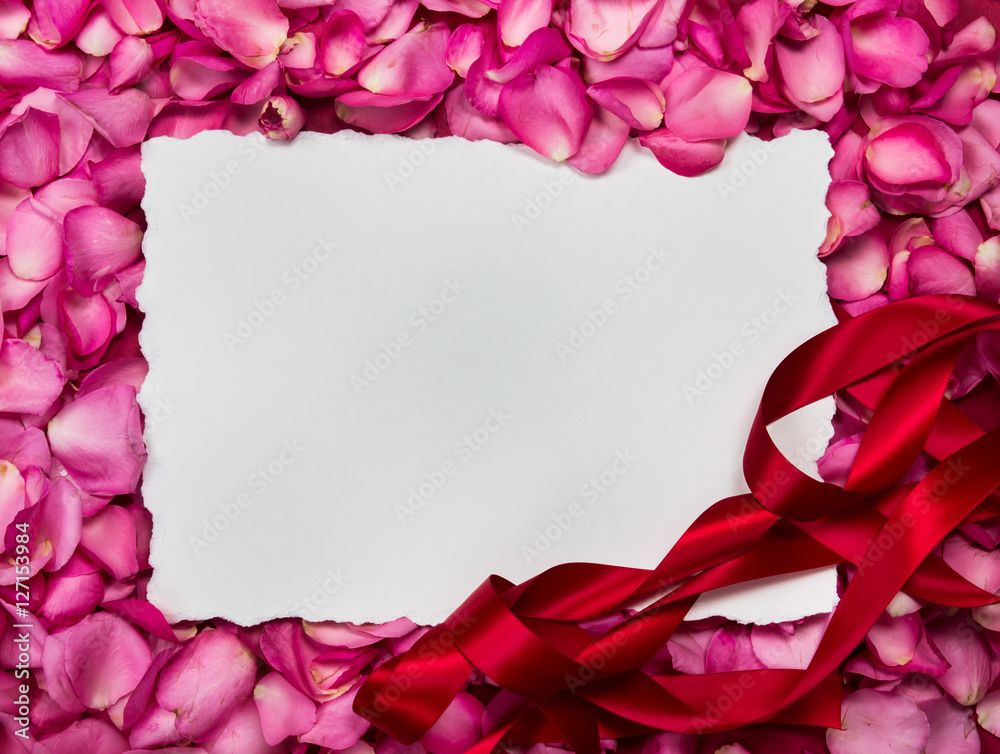 空的白色纸框配上甜美的粉色玫瑰花瓣，浪漫