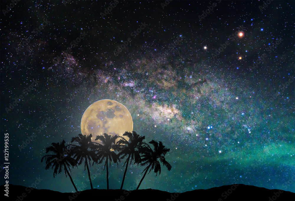 银河系景观。月亮的夜空和mou上的椰子树剪影