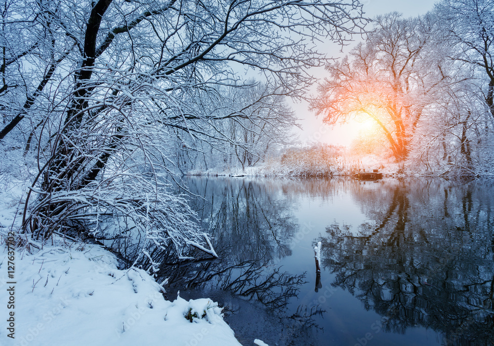 日落时河边森林里的美丽冬天。冬季景观。树上的雪树枝，美丽