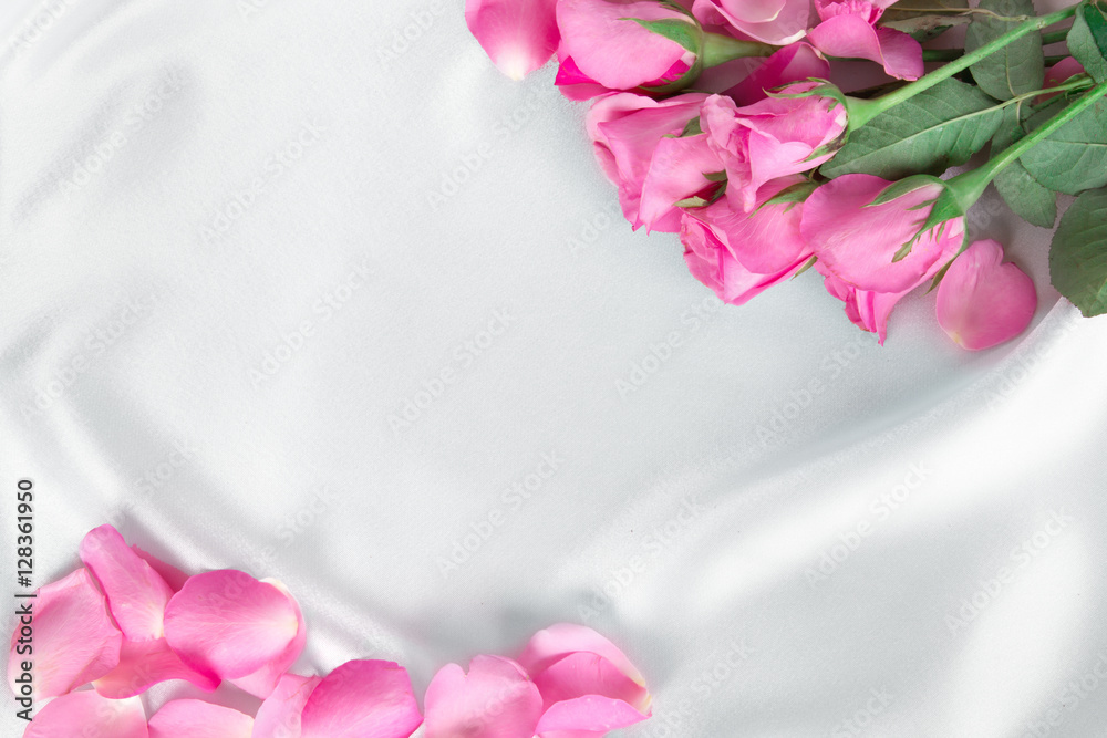 柔软的白色丝绸面料上的一束甜美的粉红色玫瑰花瓣，