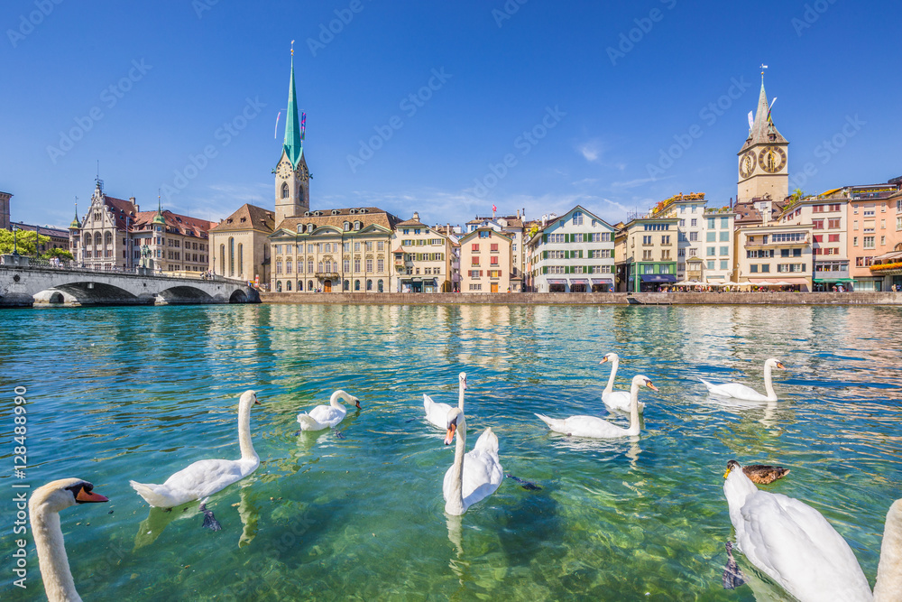 Zürich city center with swans on Limmat river, Switzerland