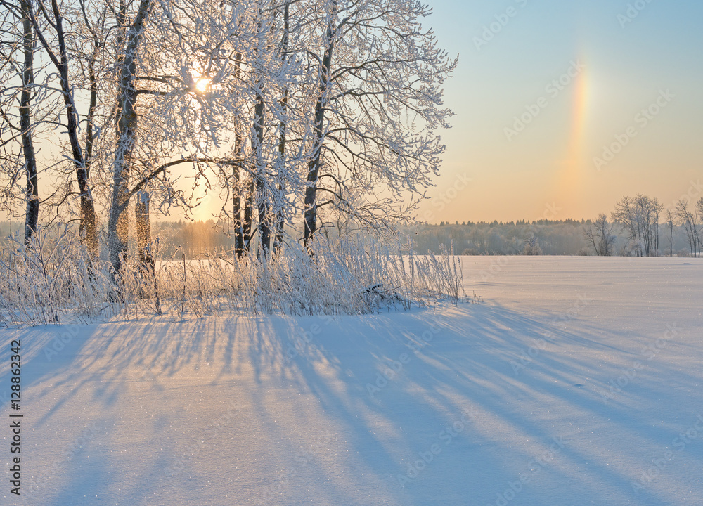 霜冻和日晕中的树木构成的冬季景观。