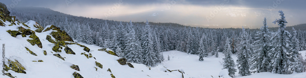 山脚下森林的冬季景观。