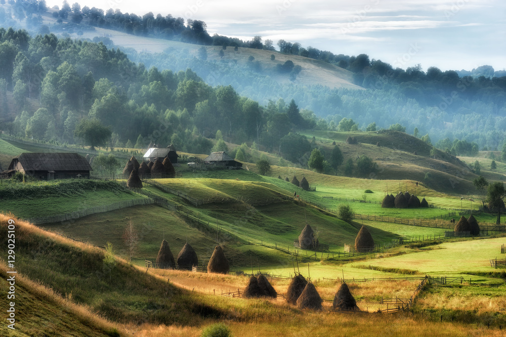 夏日早晨的山景-罗马尼亚波诺鲁卢伊基金会