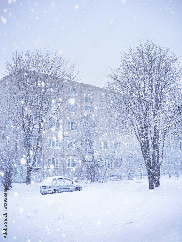 冬天城市街道上的大片雪花。美丽、宁静、宁静的降雪。