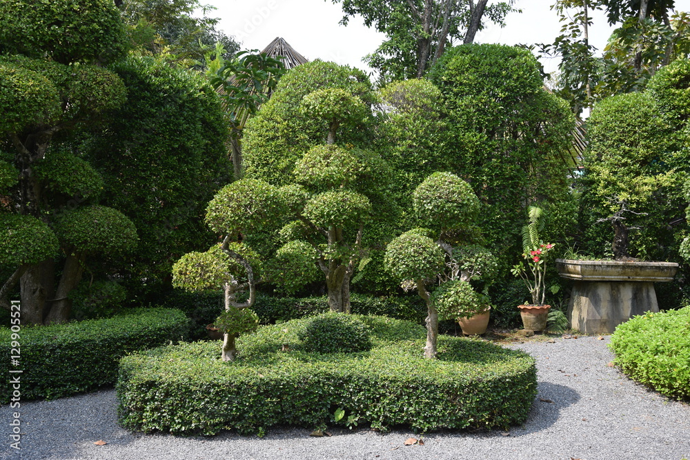 东南亚植物园