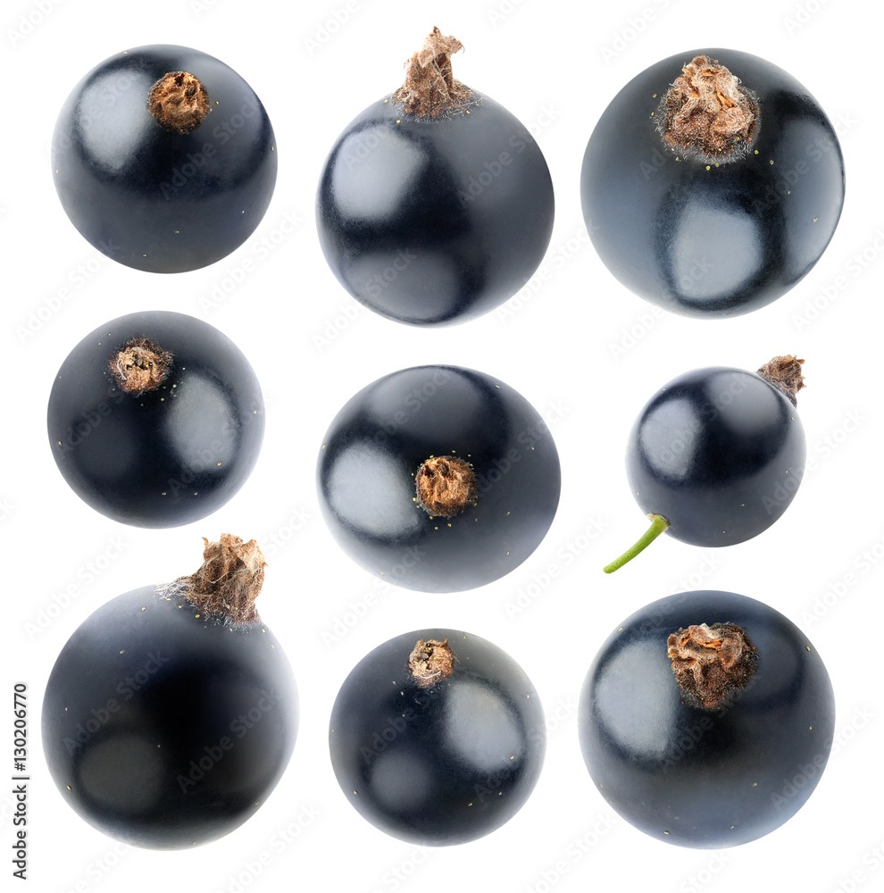 Collection of isolated blackcurrants