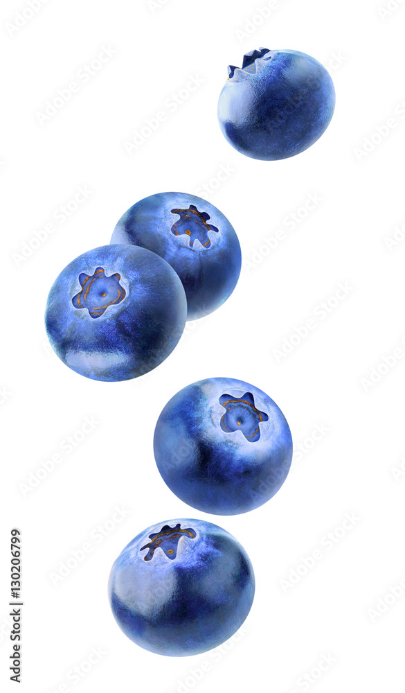 Isolated blueberries flying in the air