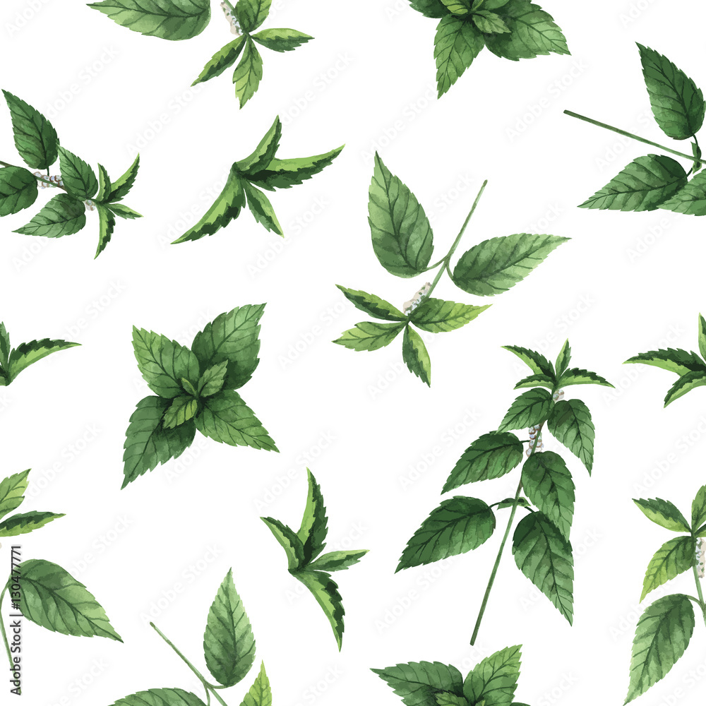 Watercolor vector seamless pattern with nettle flowers and branches.