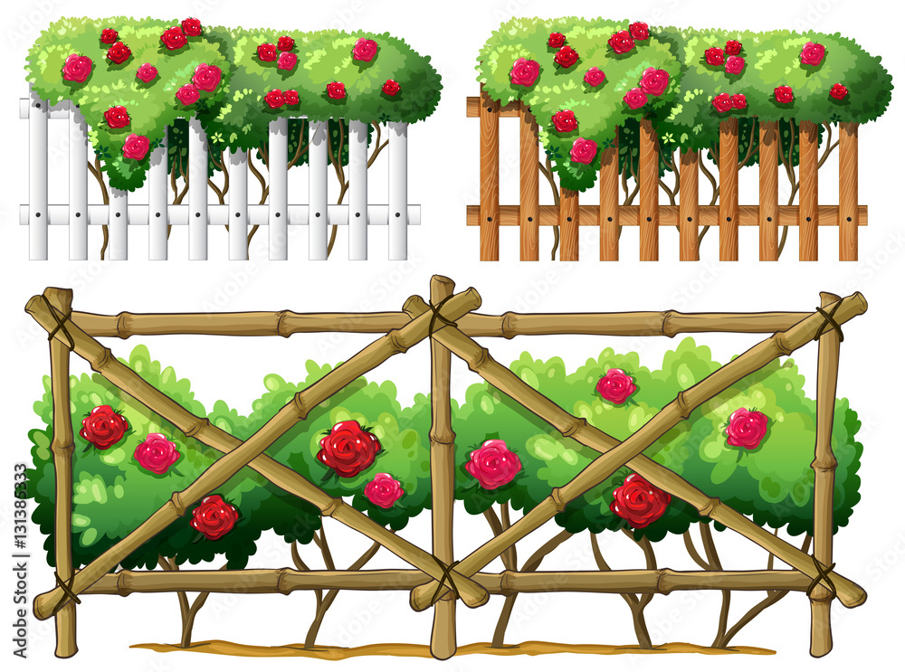 Fence design with roses