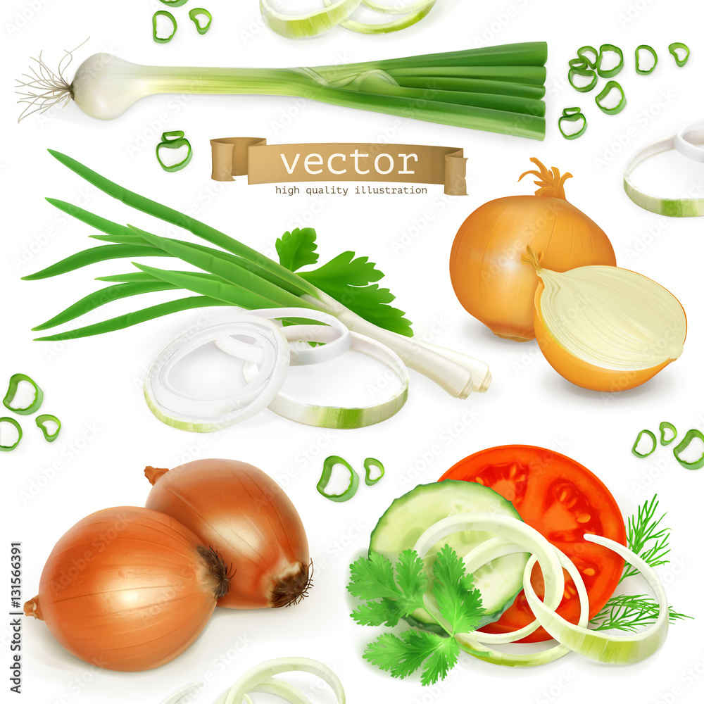 Onion set, realistic vector icons