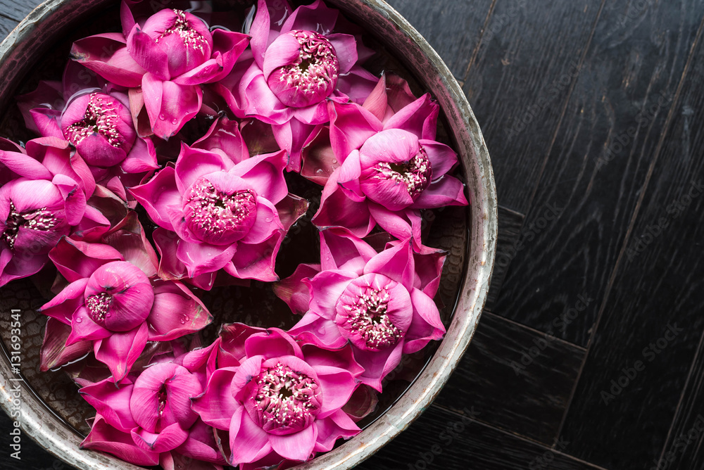 美丽的粉红色莲花或睡莲在碗里，花朵装饰