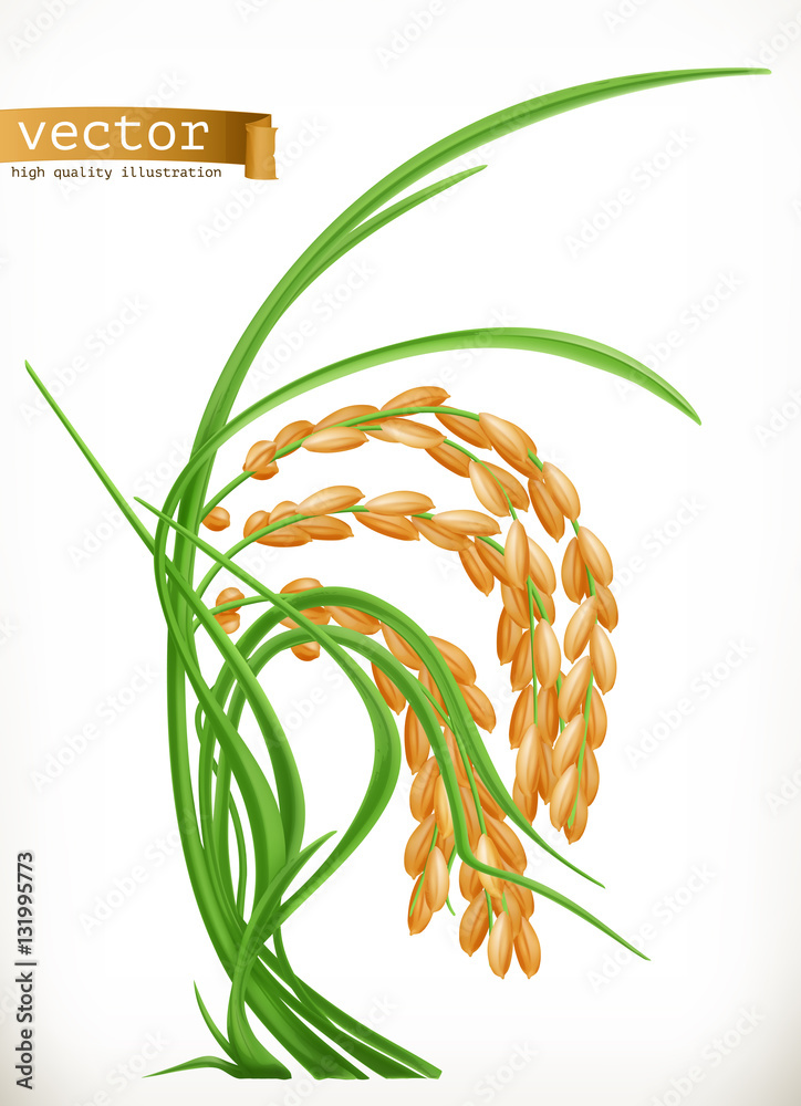 Rice.3d矢量图标