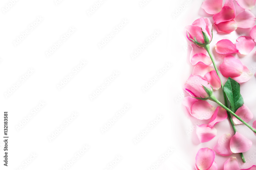  a bouquet sweet pink roses  petal on  soft white silk fabric ,