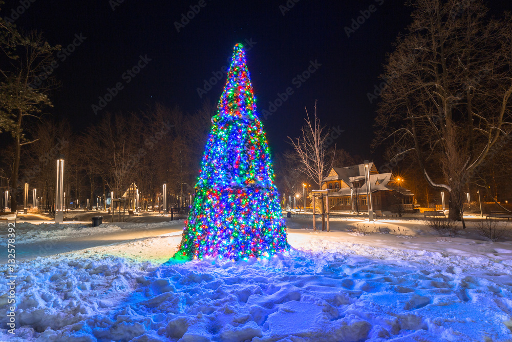 Beautiful Christmas tree in the park of Zakopane, Poland