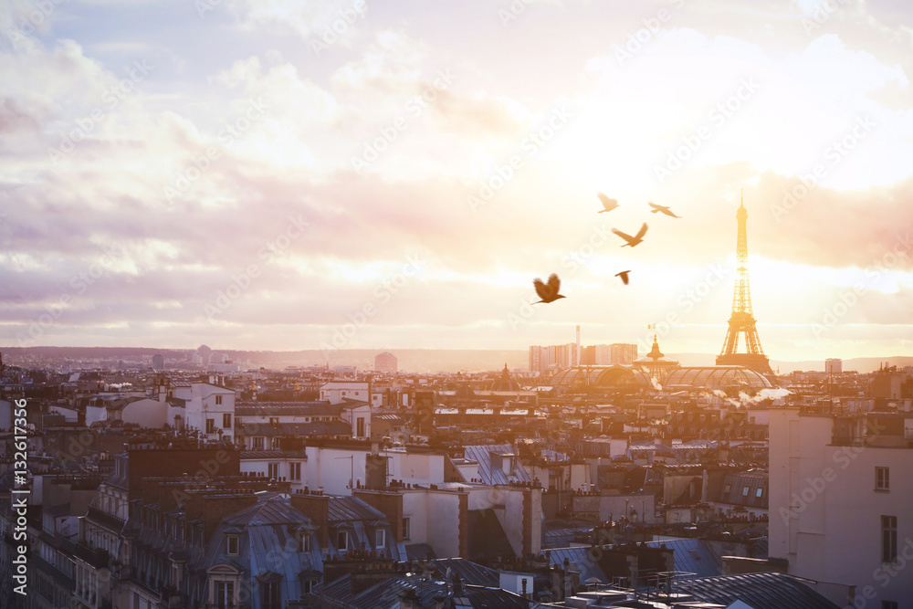 beautiful panoramic view of Paris, buildings and birds in the sky
