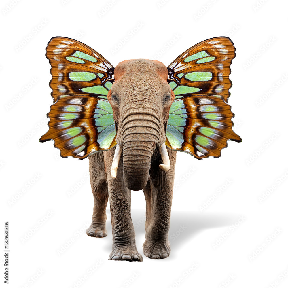 Elephant with butterfly wings