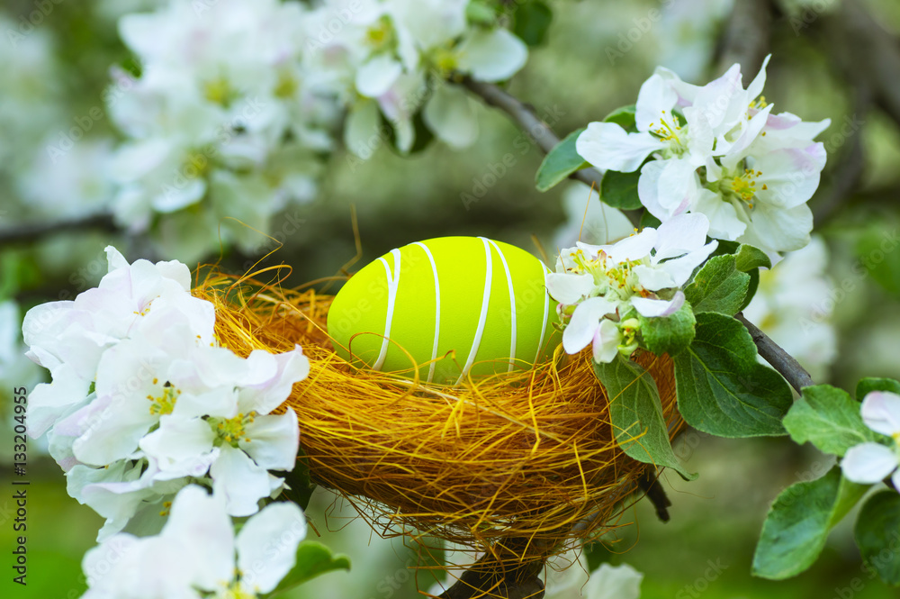 Easter eggs in a nest in the flowering garden