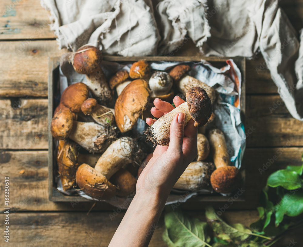 Porcini mushrooms in wooden tray over rustic background and womans hand holding one penny bun, top 