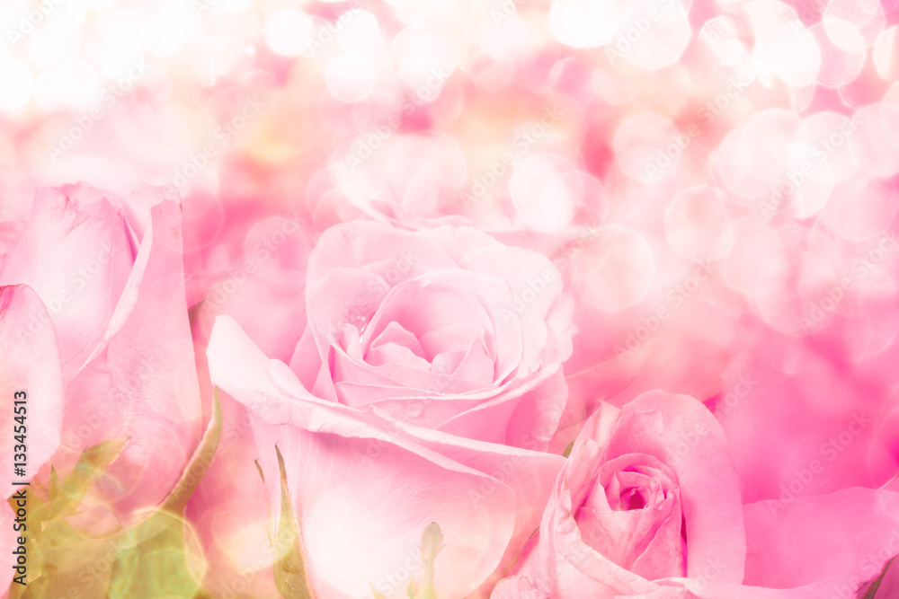 close up sweet light pink on pink abstract lighting background