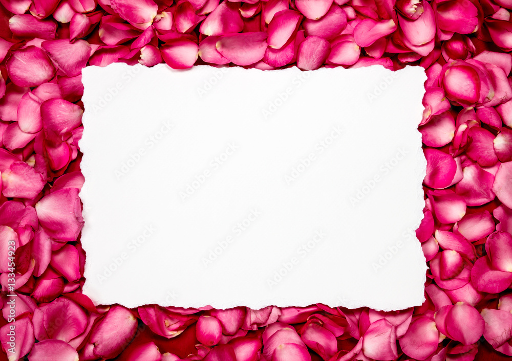 Empty paper with  sweet pink roses  petal  , romance and love 