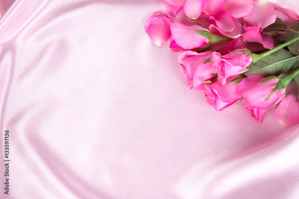 一束甜美的粉红色玫瑰花瓣，柔软的粉红色丝绸面料，罗马