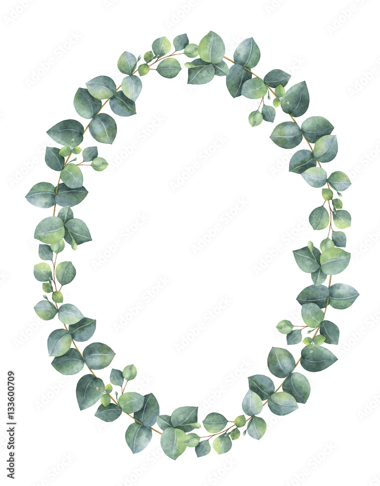 水彩手绘椭圆形花环，配银元桉树。