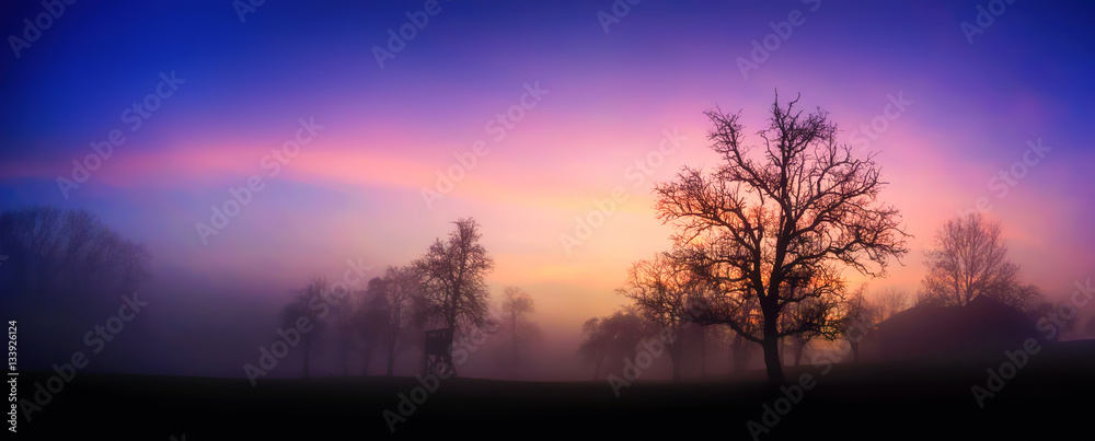 Bunte Dämmerung am Land im Winter, mit Silhouetten der Bäume und rosa Wolken
