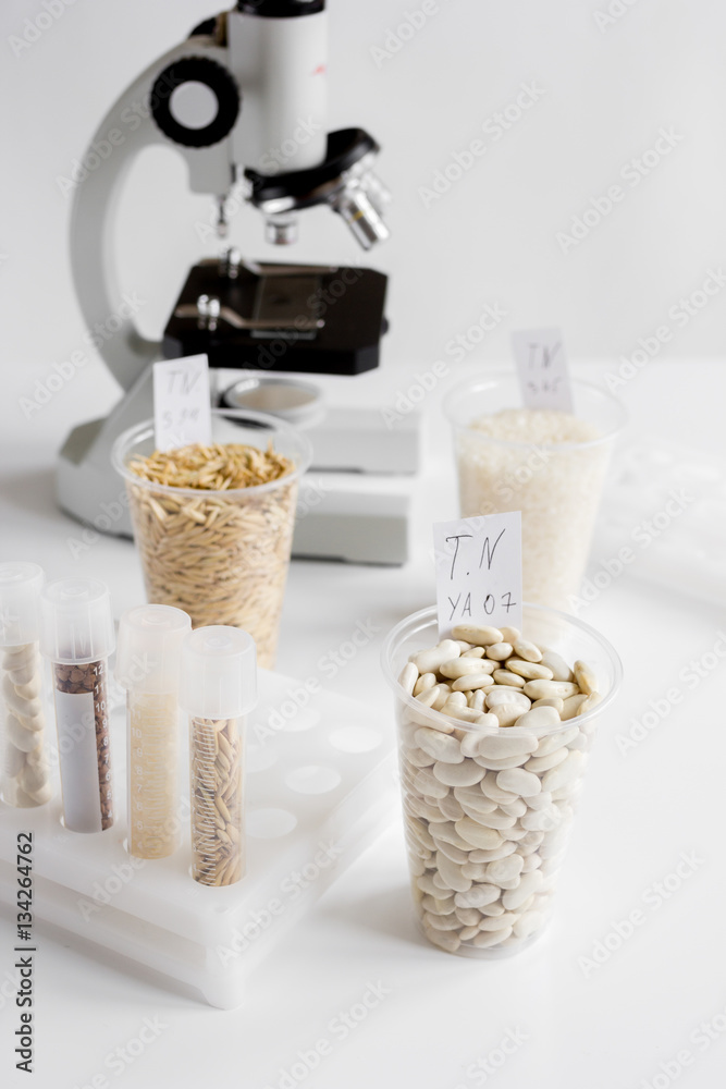 concept healthy food inspection in laboratory no one