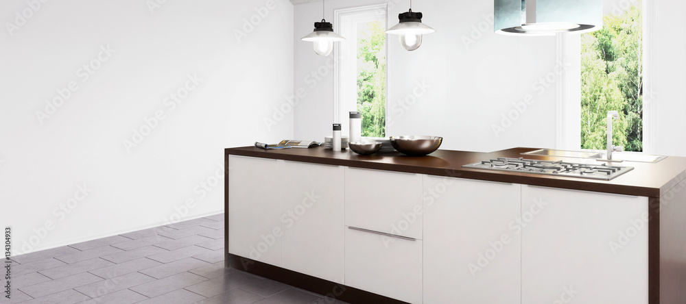 New kitchen in concept (panoramic)