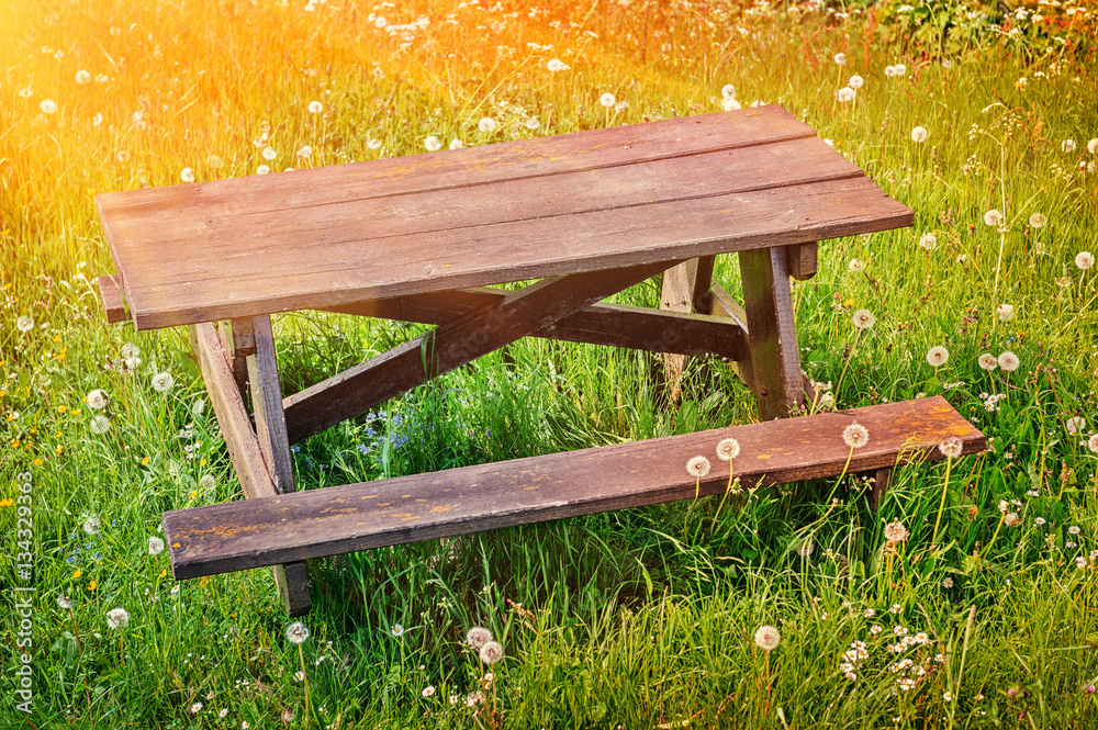 Wooden picnic place on summer green field
