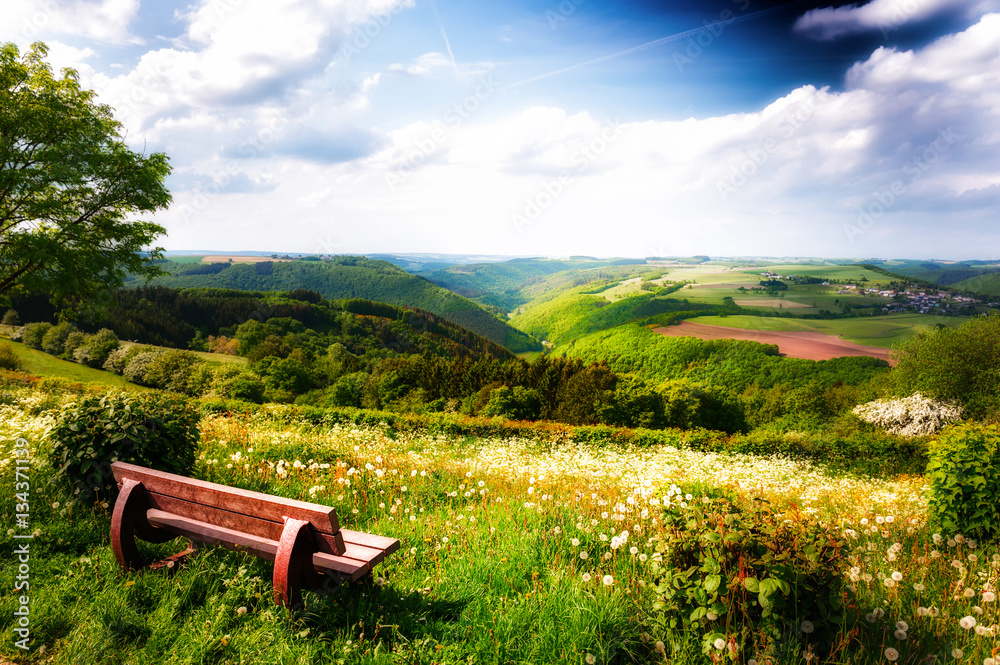 夏日风景带孤独的木长椅