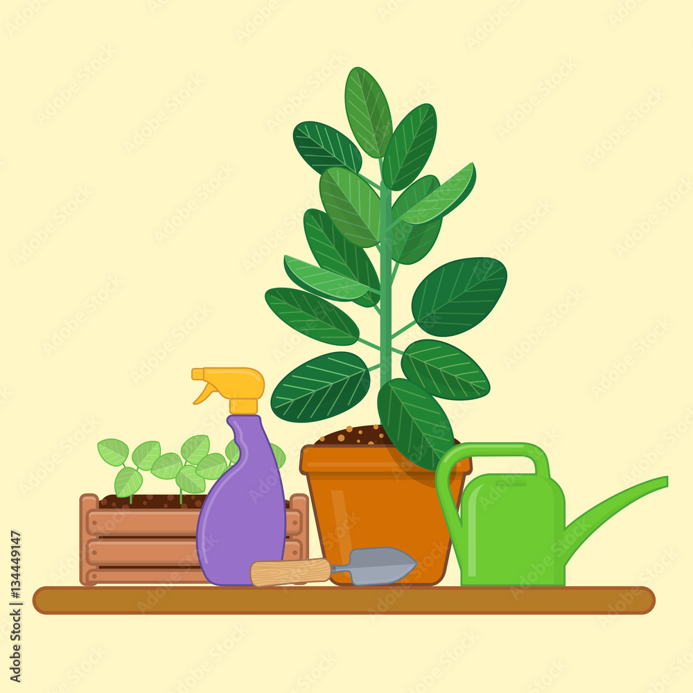 Garden tools and houseplants in a pot