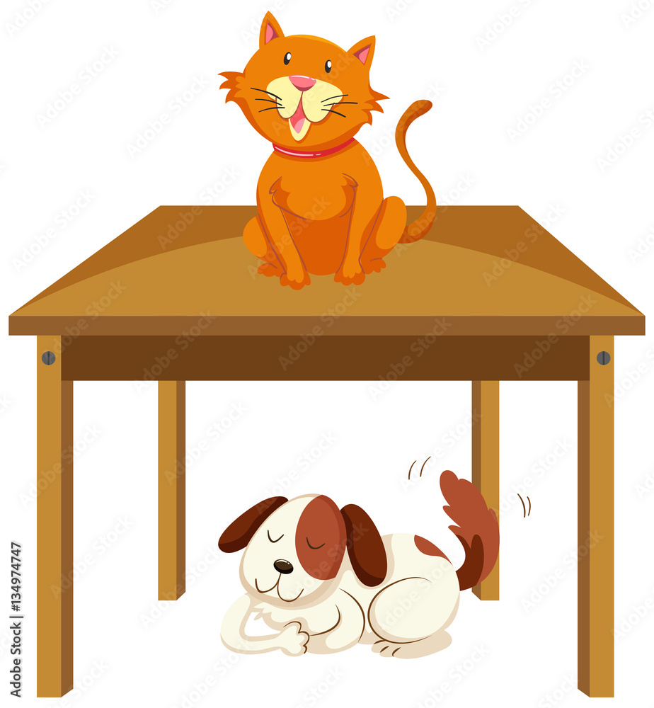 Cat on the table and dog under the table