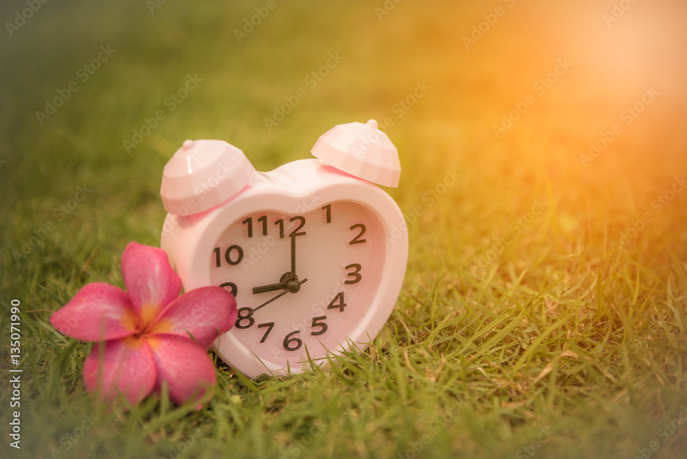 Pink clock with flower on grass background. Vintage tone