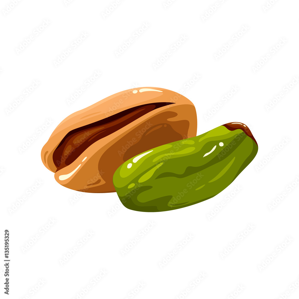 Pistachio Nuts Healthy Food Realistic Vector Illustration