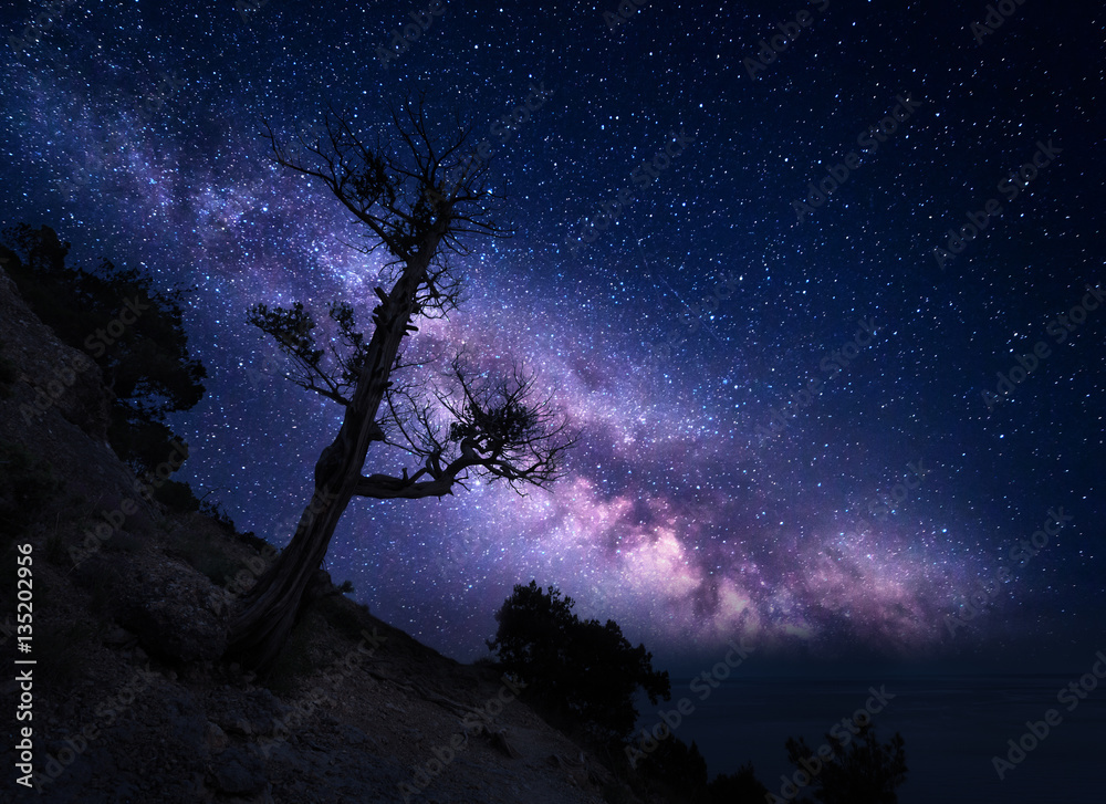 Tree on the mountain against Milky Way. Night landscape. Night colorful scenery. Starry sky in summe