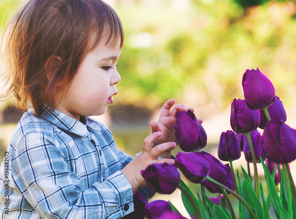 蹒跚学步的女孩在玩紫色郁金香
