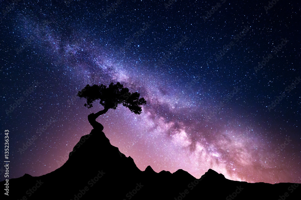 Milky Way and tree on the mountain. Old tree growing out of the rock against night starry sky with p