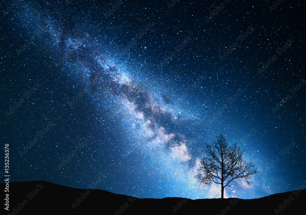 Milky Way and tree on the field. Little tree against night starry sky with blue milky way. Night lan