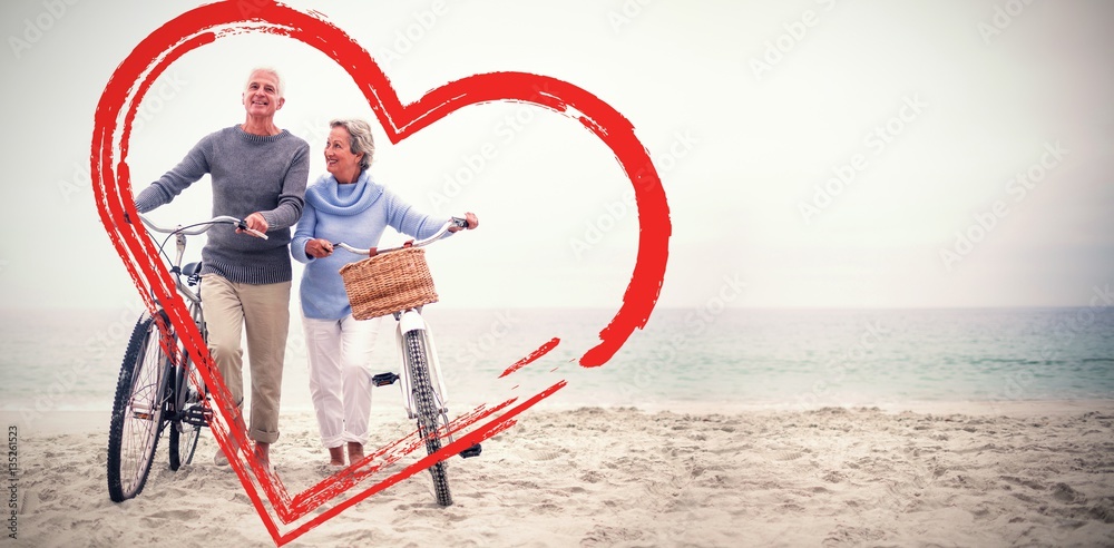 senior couple with their bicycles