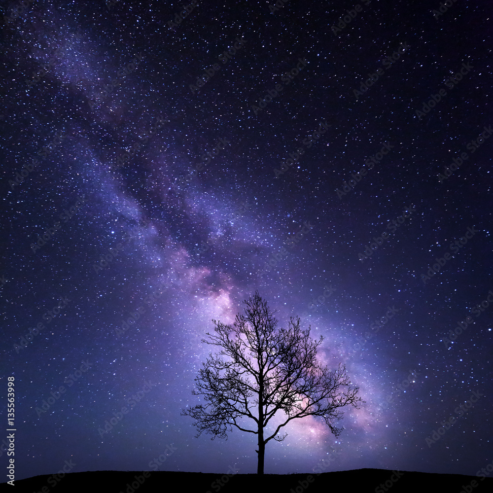 树与银河相映。夜景。夜晚五彩缤纷的景色。夏天的星空。美丽的大学
