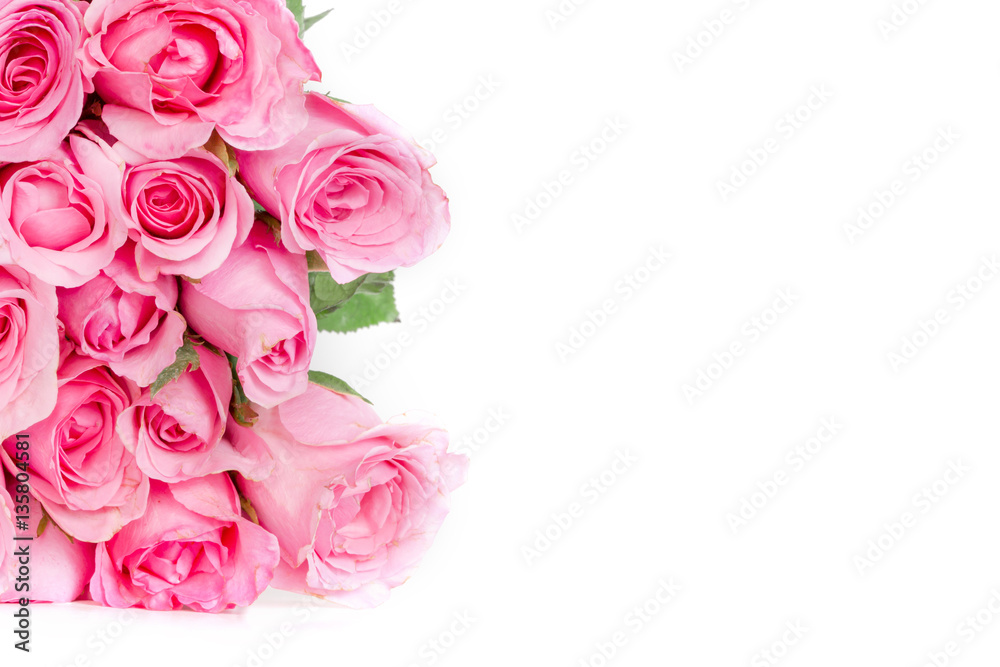 一束甜蜜的粉红色玫瑰，白色背景，浪漫