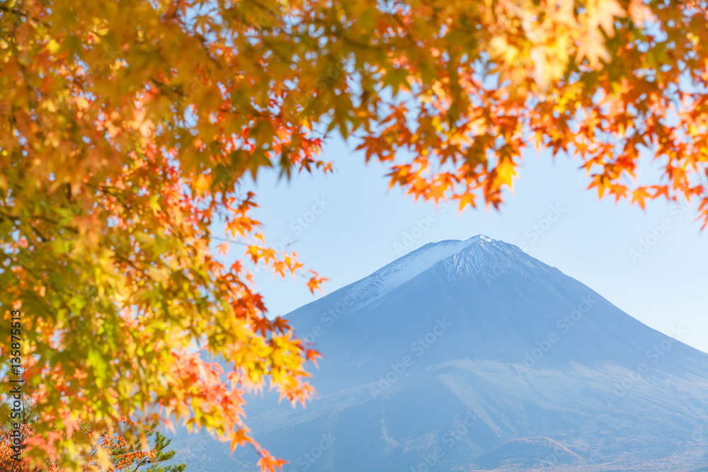 Autumn tree and Mountain Fuji at lake kawaguchiko in autumn season